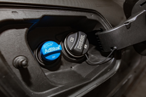 réinitialiser adblue sans valise